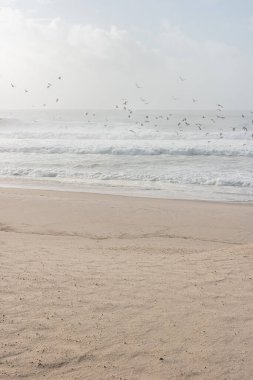 Martılar ve deniz kuşlarıyla dolu bir sahilde güzel bulutlu ve karamsar bir gün batımı. Furadouro plajı, Ovar, Aveiro, Portekiz, Avrupa 'nın Ovar belediyesinin bir turist sahili..