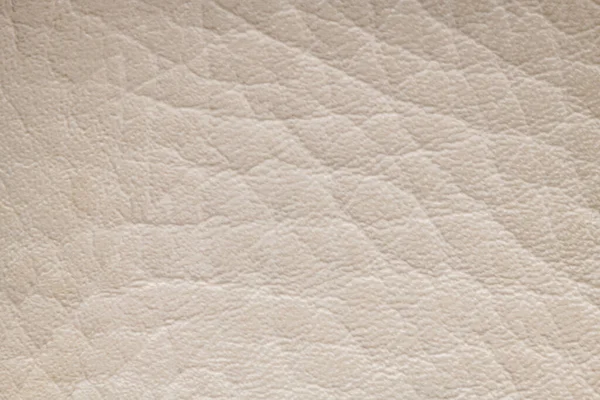 White cream artificial or synthetic leather background with neat texture and copy space, colorful fabric sample with leather-like finish aimed for upholstery, fashion, sewing or footwear projects