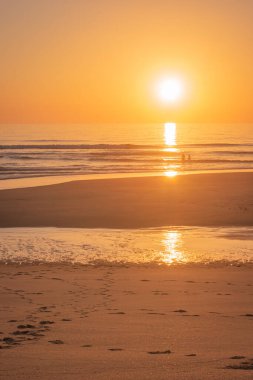 Landscape of sunset in Murtosa beach. Aveiro, Portugal.