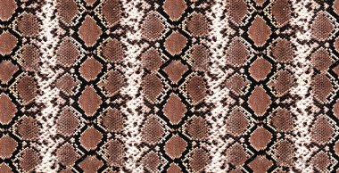 Kusursuz yılan dokusu, piton deseni.