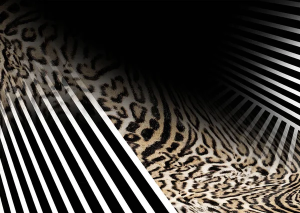 Fundo Pele Leopardo Padrão Abstrato Animal — Fotografia de Stock