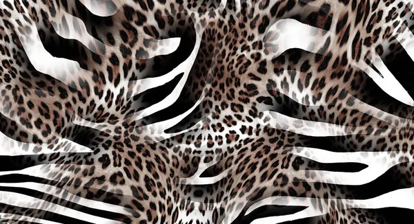 Textura Leopardo Zebra — Fotografia de Stock