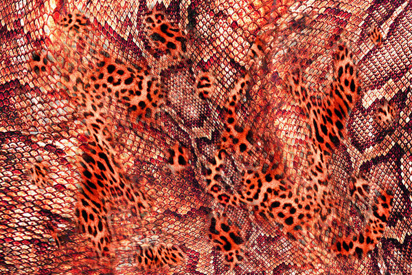 Leopard and snake texture, mixed animal print
