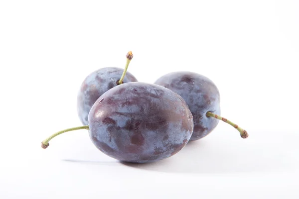 Prunes fraîches isolées sur fond blanc — Photo