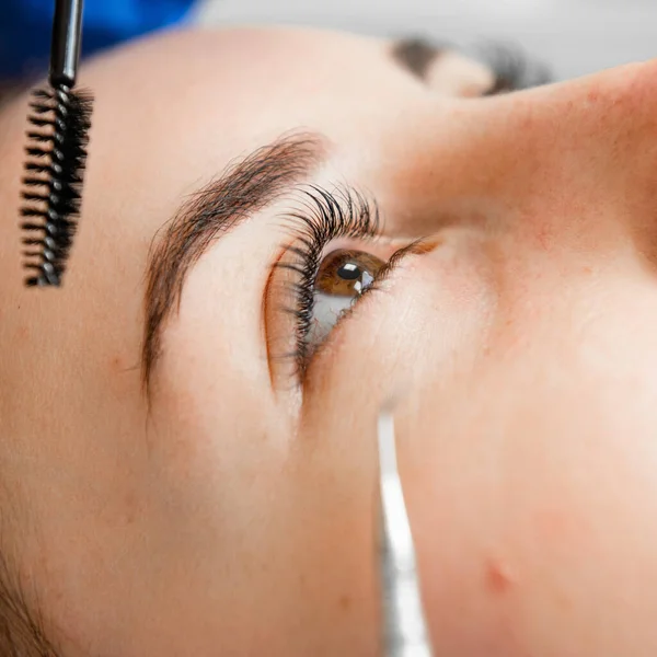 a young girl on the procedure of eyelash and eyebrow rash