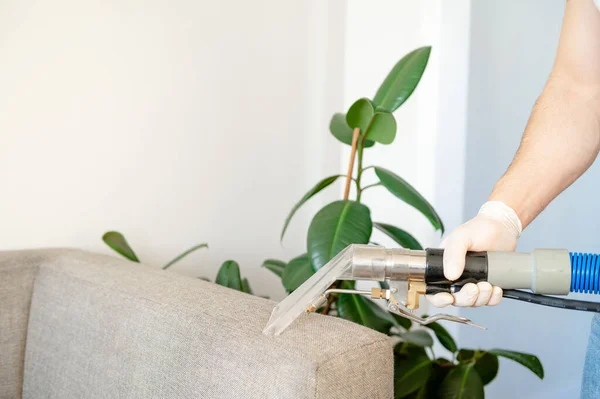 Dry cleaners employee removing dirt from furniture in flat