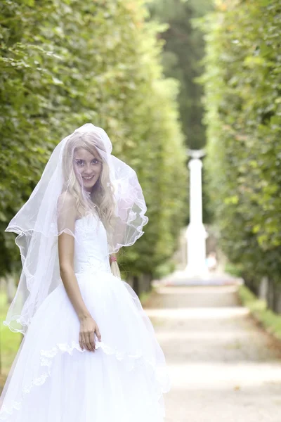 Bride in park — Stock Photo, Image