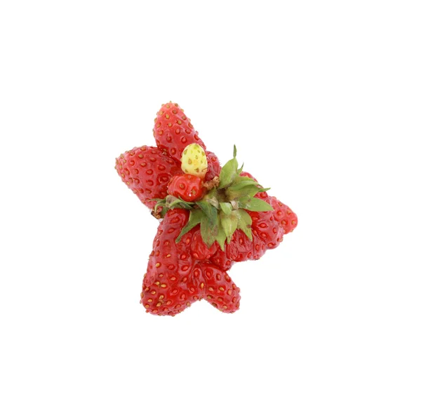 Fraise biologique mûre et juteuse — Photo