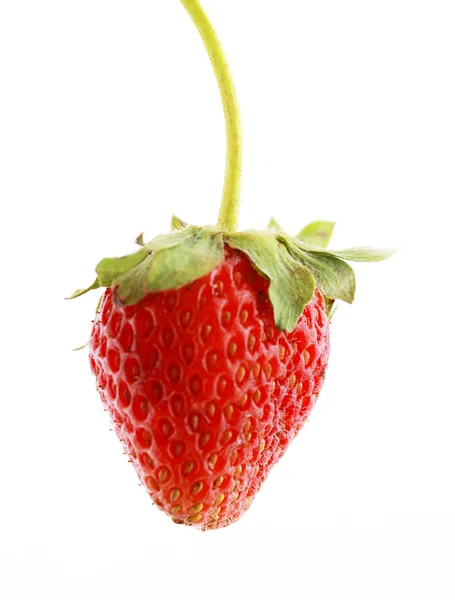 Ripe red organic strawberry — Stock Photo, Image