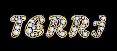 bling elmas, parlak, parlak altın çerçeve ile terri adını yazıldığından