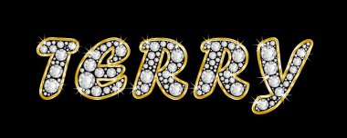 adı terry bling elmas, parlak, parlak altın çerçeve ile yazıldığından