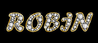 adı robin bling elmas, parlak, parlak altın çerçeve ile yazıldığından