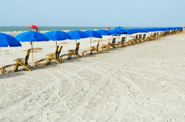 plaj şezlong, şemsiye ile. Güney carolina atlantic coast.