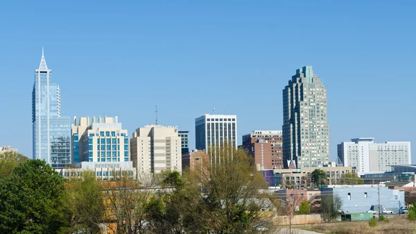 Panoramautsikt över downtown raleigh, nc — Stockfoto