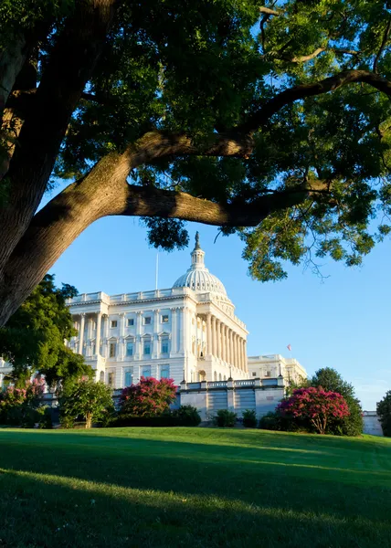 US Capitol building , Washington DC — Stock Photo, Image