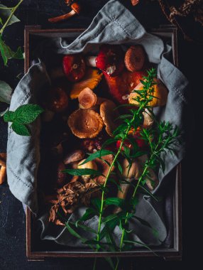 Forest mushrooms aestetics in bright colours.