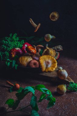 Forest mushrooms aestetics in bright colours.