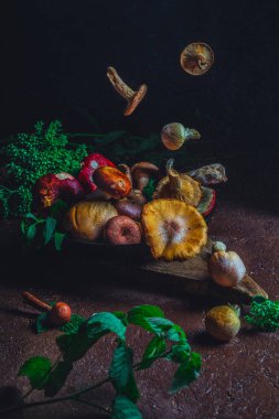 Forest mushrooms aestetics in bright colours.