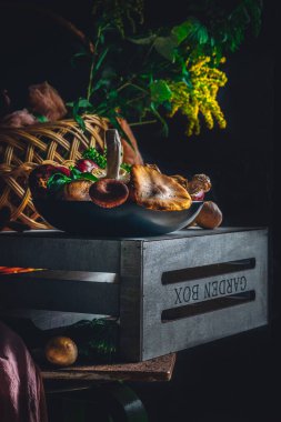 Forest mushrooms aestetics in bright colours.