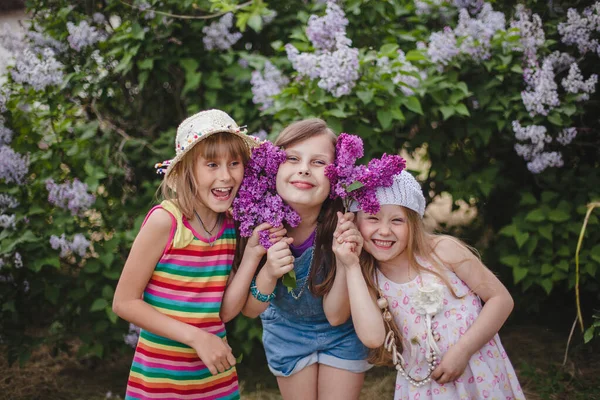 Три улыбающиеся европейские девушки стоят, обнимаясь в летнем саду с сиреневыми цветами в руках — стоковое фото