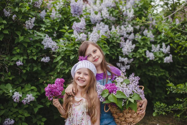Две улыбающиеся европейские девушки стоят в летнем саду с корзиной сирени в руках — стоковое фото