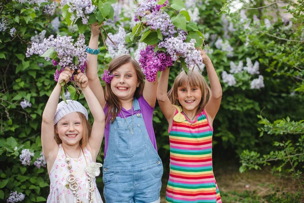 Три смеющиеся девушки в летнем саду подняли руки с сиреневыми цветами — стоковое фото