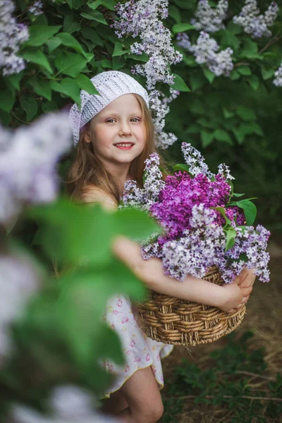 Una ragazza bionda europea in un berretto bianco a maglia tiene un cesto di fiori lilla in piedi in un giardino lilla — Foto Stock