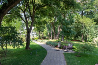 Pryiutivka, Oleksandriya, Ukrayna - 19 Ağustos 2021: Oleksandriya yakınlarındaki güzel şehir parkı