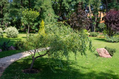 Pryiutivka, Oleksandriya, Ukrayna - 19 Ağustos 2021: Oleksandriya yakınlarındaki güzel şehir parkı