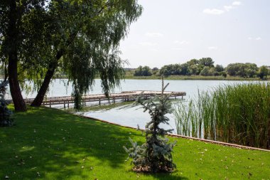 Pryiutivka, Oleksandriya, Ukrayna - 19 Ağustos 2021: Oleksandriya yakınlarındaki güzel şehir parkı