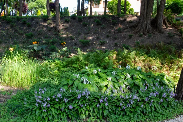 Pryiutivka Oleksandriya Ukraine August 2021 Schöner Stadtpark Bei Oleksandriya — Stockfoto