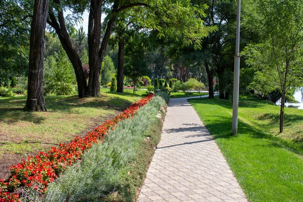 Pryiutivka Oleksandriya Ukraine Серпня 2021 Красивий Міський Парк Біля Олександрії — стокове фото