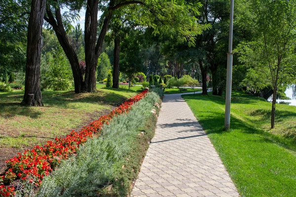 Pryiutivka Oleksandriya Ukraine August 2021 Beautiful City Park Oleksandriya — Stock Photo, Image