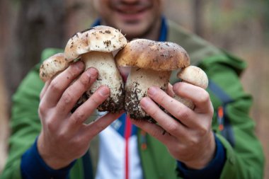 Büyük Boletus Edulis ya da Penny Bun mantarları ellerinde