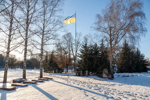Kropyvnytskyi Ukrajna 2022 Január Ukrajna Nagy Nemzeti Zászlója — Stock Fotó