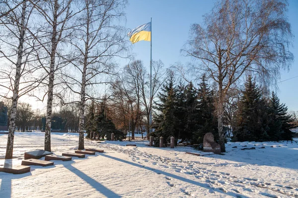 Kropyvnytskyi Ukrajna 2022 Január Ukrajna Nagy Nemzeti Zászlója — Stock Fotó