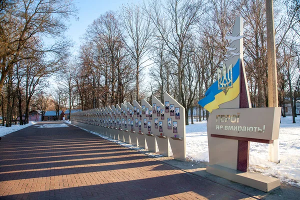 Kropyvnytskyi Ucrania Enero 2022 Paseo Fama Los Héroes Caídos Ato — Foto de Stock