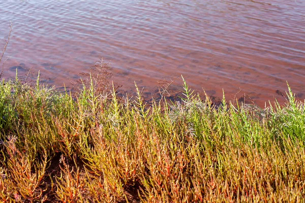 Technical settler of industrial water of mining industry in Kryvyi Rih, Ukraine. Redwater is polluted with iron ore waste. Discharge of process water in the sump after the iron ore beneficiation