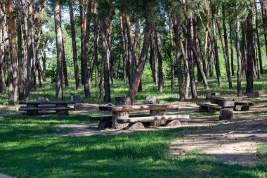 Pryiutivka, Oleksandriya, Ukrayna - 19 Ağustos 2021: Oleksandriya yakınlarındaki güzel şehir parkı