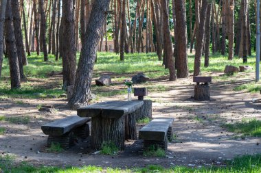 Pryiutivka, Oleksandriya, Ukrayna - 19 Ağustos 2021: Oleksandriya yakınlarındaki güzel şehir parkı