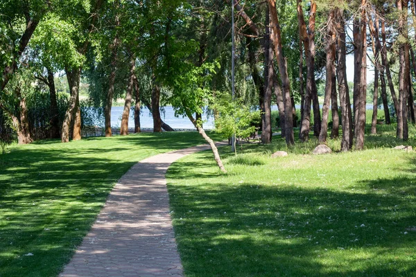 Pryiutivka, Oleksandriya, Ukrayna - 19 Ağustos 2021: Oleksandriya yakınlarındaki güzel şehir parkı