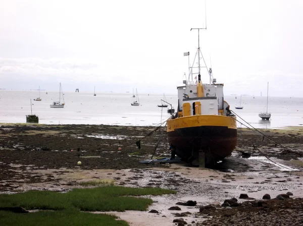 Black and Yellow Boat 2 — Stock Photo, Image