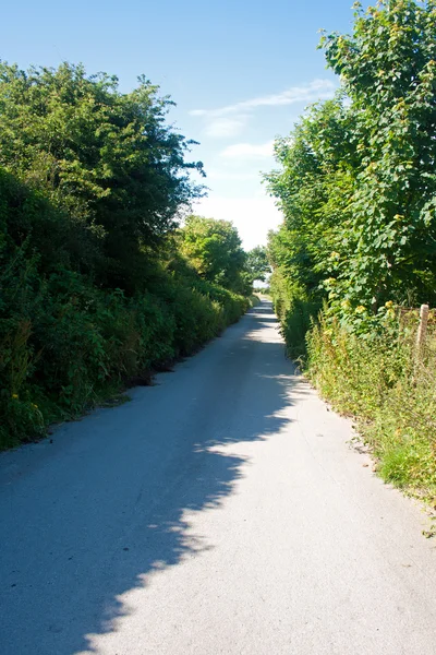 Ülke Yolu