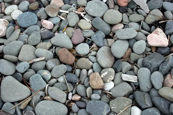 Praia de seixos com galhos — Fotografia de Stock