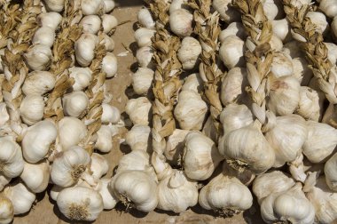 sarımsak örgü bazzar içinde