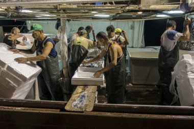 ticari balıkçılar sardalyaları teslim gece