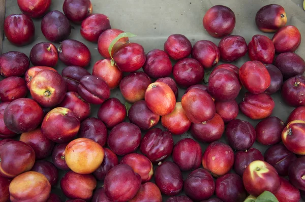 Čerstvý přírodní meruňky — Stock fotografie