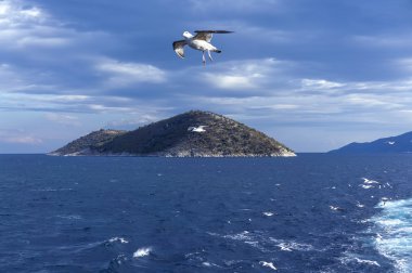 Kuzey Ege Denizi gre, thassos yakınında küçük bir ada thassopoula