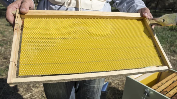 O apicultor tem controle de um novo favo de mel — Fotografia de Stock