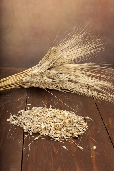Пшеница, растения и семена — стоковое фото